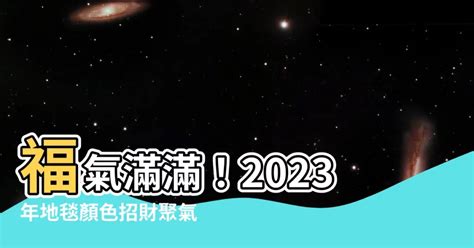 2023 地毯顏色